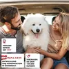 WALSER Premium Auto Hundedecke Rocky, 100% wasserdichte Produktbild-Vorschau 7