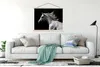 MuchoWow® Textilposter Pferde - Nutztiere - Mähnen 150x113 Produktbild-Vorschau 3