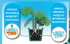 Blumenerde Monstera - 16l - mit Seramis - für gesunde Produktbild-Vorschau 13