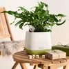 Lechuza Yula Pflanzgefäß weiß / Pistaziengrün 13872 Produktbild-Vorschau 2