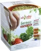 Germoir en terre cuite 3 niveaux Voir les images du produit 7