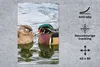 MuchoWow® Mauspad Mousepad Ente - Vögel - Wasser - Federn - Produktbild-Vorschau 2