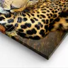 Bild auf Leinwand - Leinwandbild - Tiere gefährlich wilde Produktbild-Vorschau 5