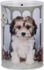 Clayre & Eef Spardosen Ø 10x15 cm Weiß Metall Hund Produktbild-Vorschau 1