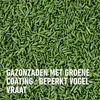 Compo Rasensamen 2kg bis 100m² - Reparaturrasen beschichtet Produktbild-Vorschau 7