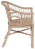 vidaXL Stapelstuhl Rattan Natur 60 x 60 x 81 cm Produktbild-Vorschau 5