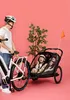Hamax Cocoon ONE Fahrradanhänger Produktbild-Vorschau 10