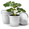 Several white plant pots are displayed against a white background, with one pot containing a green plant. Produktbild-Vorschau