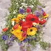 Mélange de fleurs sauvages | Graines de fleurs sauvagesde Voir les images du produit 6