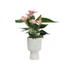 elho® Vibes Übertopf Fold Cup Seidenweiß Ø 14 cm - Produktbild-Vorschau 8