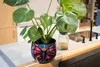 A potted plant with a butterfly-themed pot sits on a kitchen counter next to a sink. Produktbild-Vorschau