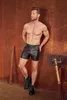 NEK Mattlook High Waist Shorts mit Schnallenriemen Produktbild-Vorschau 7
