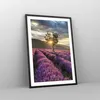 Gerahmtes Poster - Schwarzer Rahmen - Lavendel Berge Feld - Produktbild-Vorschau 8