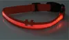 ChiliTec Hunde Halsband mit LED Beleuchtung Produktbild-Vorschau 3