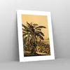 Poster - Poster ohne Rahmen - Palmen Wald Regnerisch - Produktbild-Vorschau 7