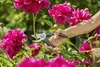 EcoLine Gartenschere (schwarz/türkis, Bypass) - Gardena Produktbild-Vorschau 9
