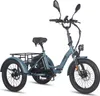 FAFREES F20 Mate E-Lastenrad - Akku 48V21AH 20-Zoll-Rädern Produktbild-Vorschau 2