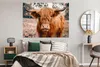 MuchoWow® Poster Kuh - Schottischer Hochländer - Hörner - Produktbild-Vorschau 4