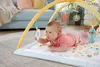 Fisher-Price Spielmatte Plastik Produktbild-Vorschau 14