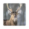 MuchoWow® Mauspad Mousepad Rotwild - Weiß - Braun 30x30 cm Produktbild-Vorschau 1