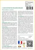 SAFLAX  - L'arbre de Noël de Nouvelle-Zélande - 300 graines Voir les images du produit 3