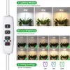 LED lampa pro rostliny s plným spektrem Nastavitelná výška Náhled obrázku produktu 2