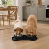 Zwei Hunde fressen aus dem schwarzen Doppelnapf im Zimmer Produktbild-Vorschau