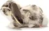 Teddy Hermann Widderkaninchen, Kuscheltier, Stofftier, Anteprima dell’immagine prodotto 4