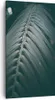 Bild auf Leinwand - Leinwandbild - Einteilig - Blatt Palme Produktbild-Vorschau 1