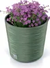 A green planter with purple flowers. Produktbild-Vorschau