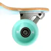 Apollo Longboard "Maui" Twin Tip TM Komplettboard 98,4 x Produktbild-Vorschau 4