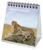 Gepardenzauber Tischkalender 10x10cm für 2027 Gepard - Produktbild-Vorschau 1