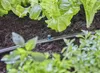 GARDENA Sprühdüse Sprühdüse 90° Inhalt: 5 Stück Produktbild-Vorschau 3