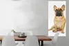 MuchoWow® Poster Französische Bulldogge - Weiß - Braun Produktbild-Vorschau 2