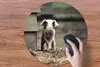 MuchoWow® Mauspad Mousepad Schwein - Stall - Baby 50x50 cm Produktbild-Vorschau 3