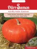 Kürbis Roter Zentner | Kürbissamen von Dürr Samen Produktbild-Vorschau 4