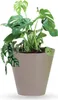 Blumentopf Blumenkübel TUBUS DTUB400 ⌀40cm Mocca Produktbild-Vorschau 1