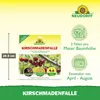 Neudorff KirschmadenFalle - 7 insektizidfreie Leimfallen - Produktbild-Vorschau 3