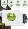 Schnittlauch Samen - Küchenkräuter Saatgut aus biologischem Produktbild-Vorschau 4