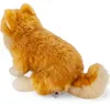 Carl Dick Spitz nano, cane di Pomerania seduto, cane, circa Anteprima dell’immagine prodotto 14