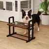 PawHut ciotola per cani rialzata 4 ciotole per cibo Anteprima dell’immagine prodotto 2