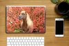 MuchoWow® Laptop Aufkleber Sticker Cover Pferd - Pony - Produktbild-Vorschau 2