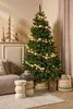 Black Box Trees Arbre de Noël Toronto - H215 x Ø132 cm - Voir les images du produit 14