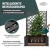 XL Spalier, Pflanzkasten Outdoor - wetterfest, UV- & Produktbild-Vorschau 6