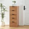 A wooden chest of drawers with black handles, placed next to a potted plant and a door. Anteprima dell’immagine prodotto