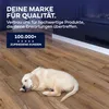 Bodenkleber 3kg [GERUCHSLOS] Universalkleber für PVC, Produktbild-Vorschau 5