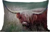 MuchoWow® Outdoor Kissen - Schottisches Hochlandrind - Produktbild-Vorschau 1