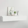 A white floating shelf mounted on a white wall, decorated with a framed print of a plant, a small potted cactus, and a diffuser with reeds. Anteprima dell’immagine prodotto