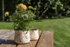 Clayre & Eef Pot de fleurs Ø 14x12 cm Beige Jaune Céramique Voir les images du produit 4