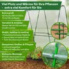TTL GARDEN Peak L 200 Folientunnel 2m Pflanztunnel 2m hoch Produktbild-Vorschau 3